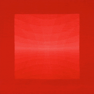 Koan Ensnared Light 5