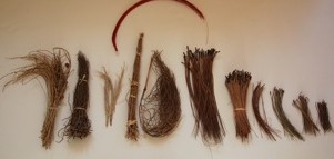 pine needle samples