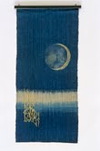 Moonscape, Barbara Shapiro