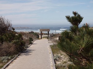 Natural Beauty at Asilomar