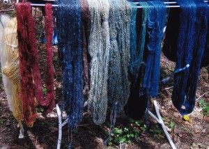 One day's work for the Natural Dyeing Group