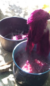 cochineal