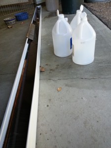 The vinegar soak in the rain gutter.