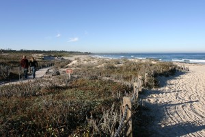 Asilomar Beach