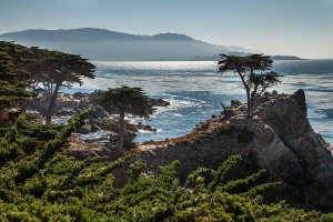 Asilomar Ocean