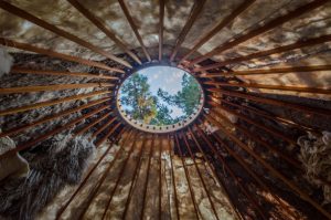 Inside the Fibershed Yurt looking out. photo by Kalie Cassel-Feisst