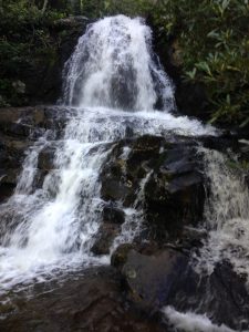 Great Smokey Mountain National Park