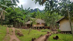 Kamantian house of thatched palm and bamboo